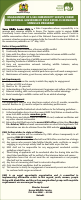 KWS 33x3 07-10.pdf